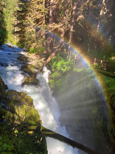 Washington Rainbow