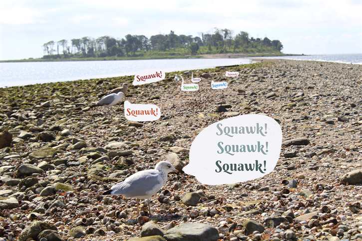 Silver Sands State Park
