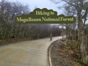 Bicycle ride to a national forest