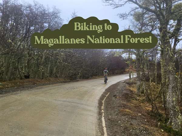 Bicycle ride to a national forest