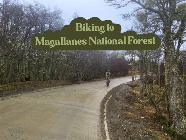 Bicycle ride to a national forest