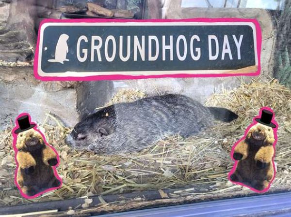 Groundhog Day