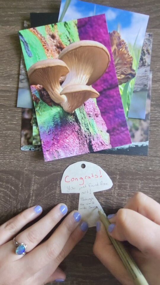 Instagram post from jensmagicalmushrooms. This post is in position 8.